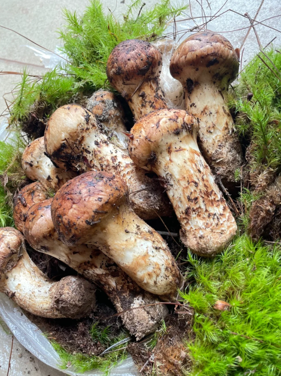 昆明广播电视台