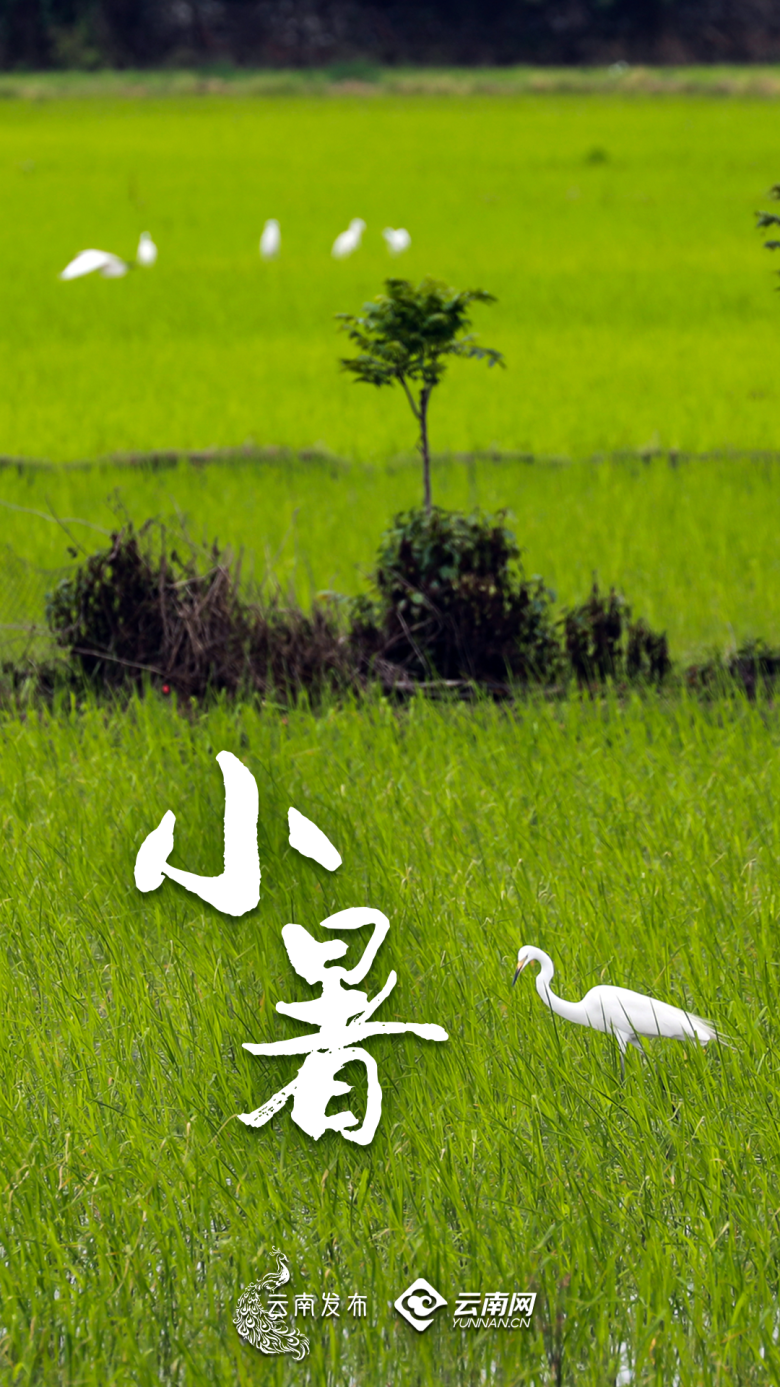 昆明广播电视台经济生活频道