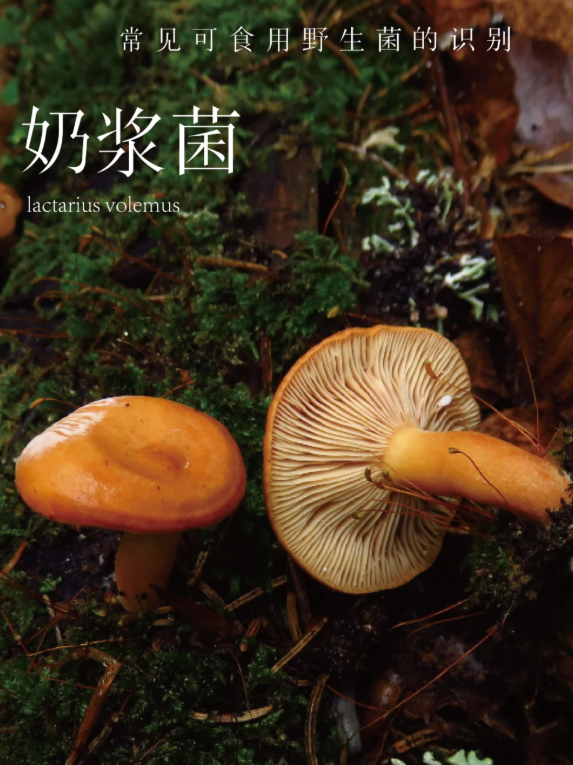 昆明广播电视台