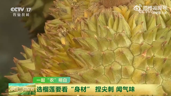 都市时报