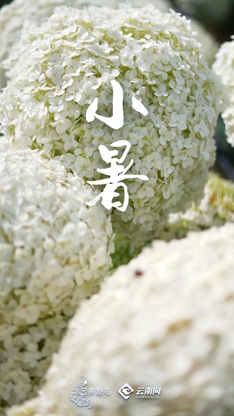 昆明广播电视台经济生活频道