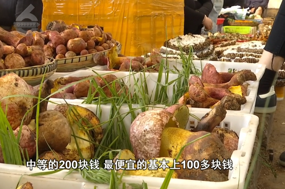 8099999街头巷尾微信