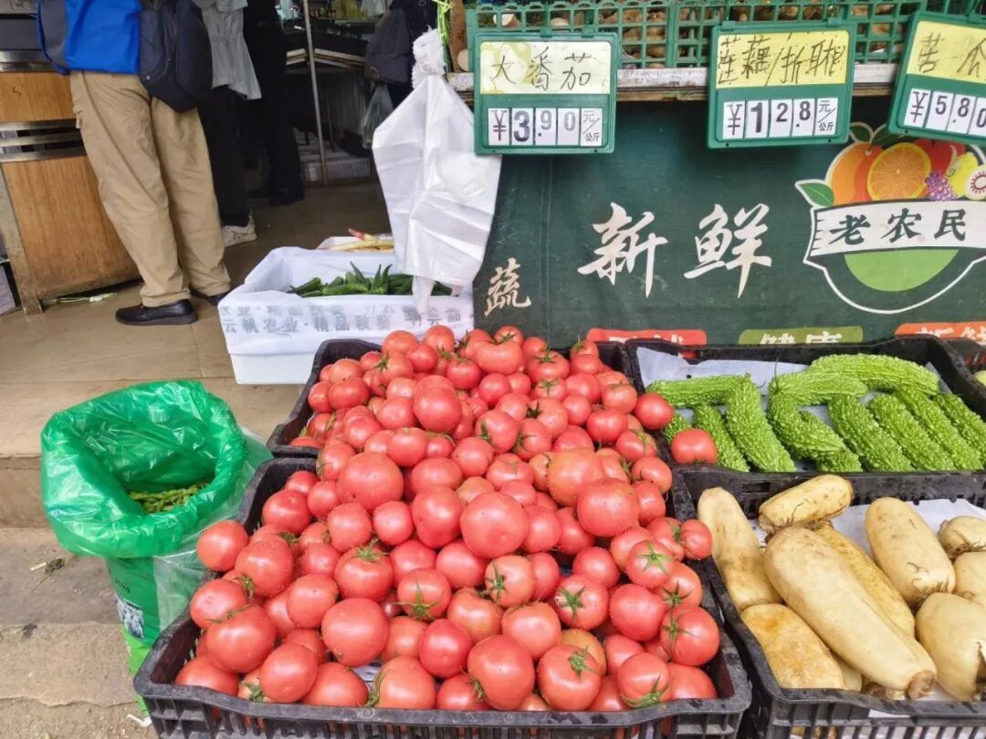 都市时报