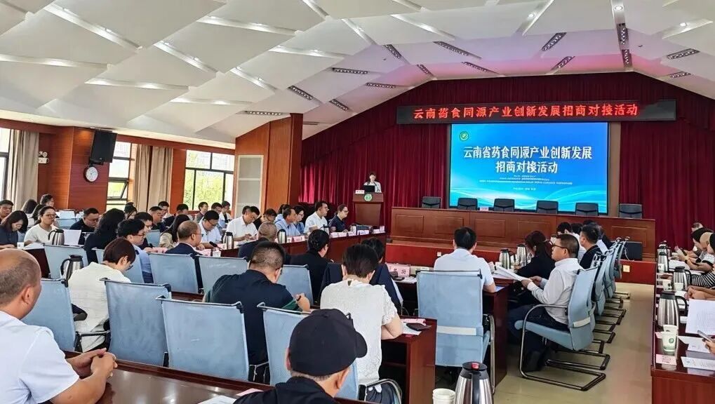 健康昆明