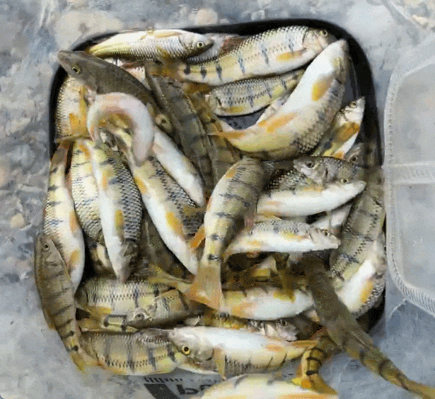 昆明广播电视台