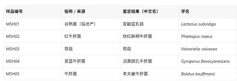 昆明广播电视台