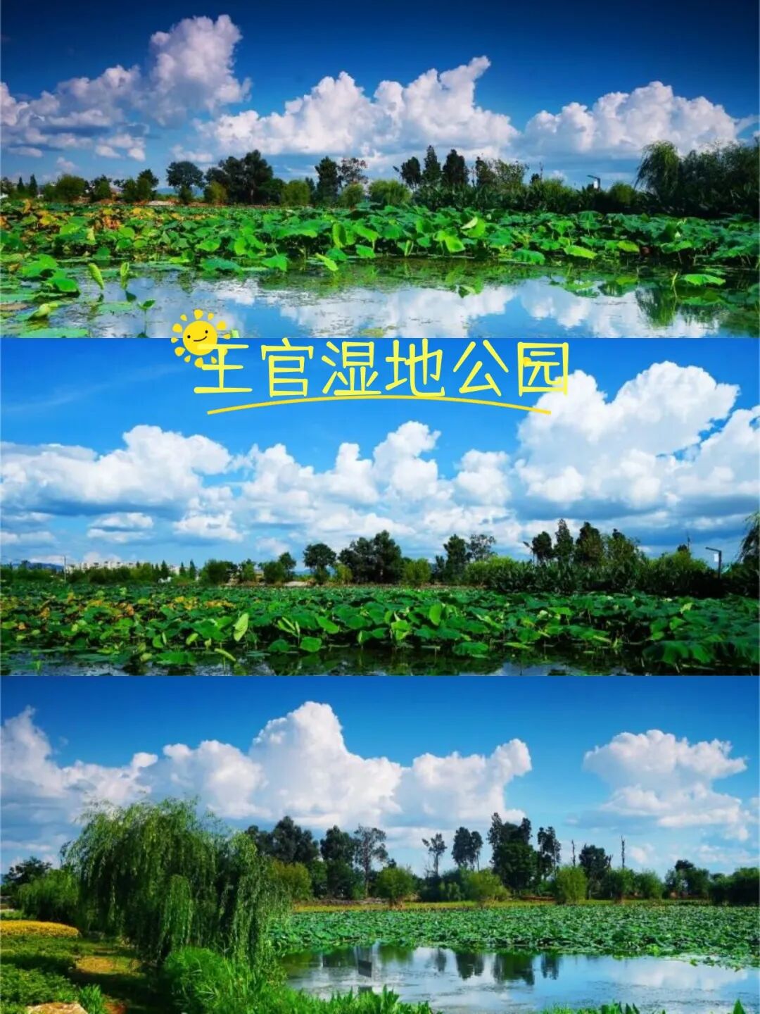 街头巷尾