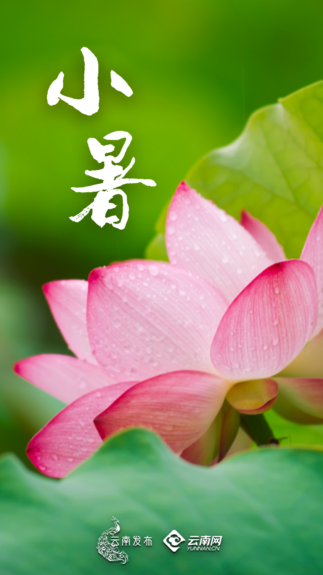 昆明广播电视台经济生活频道