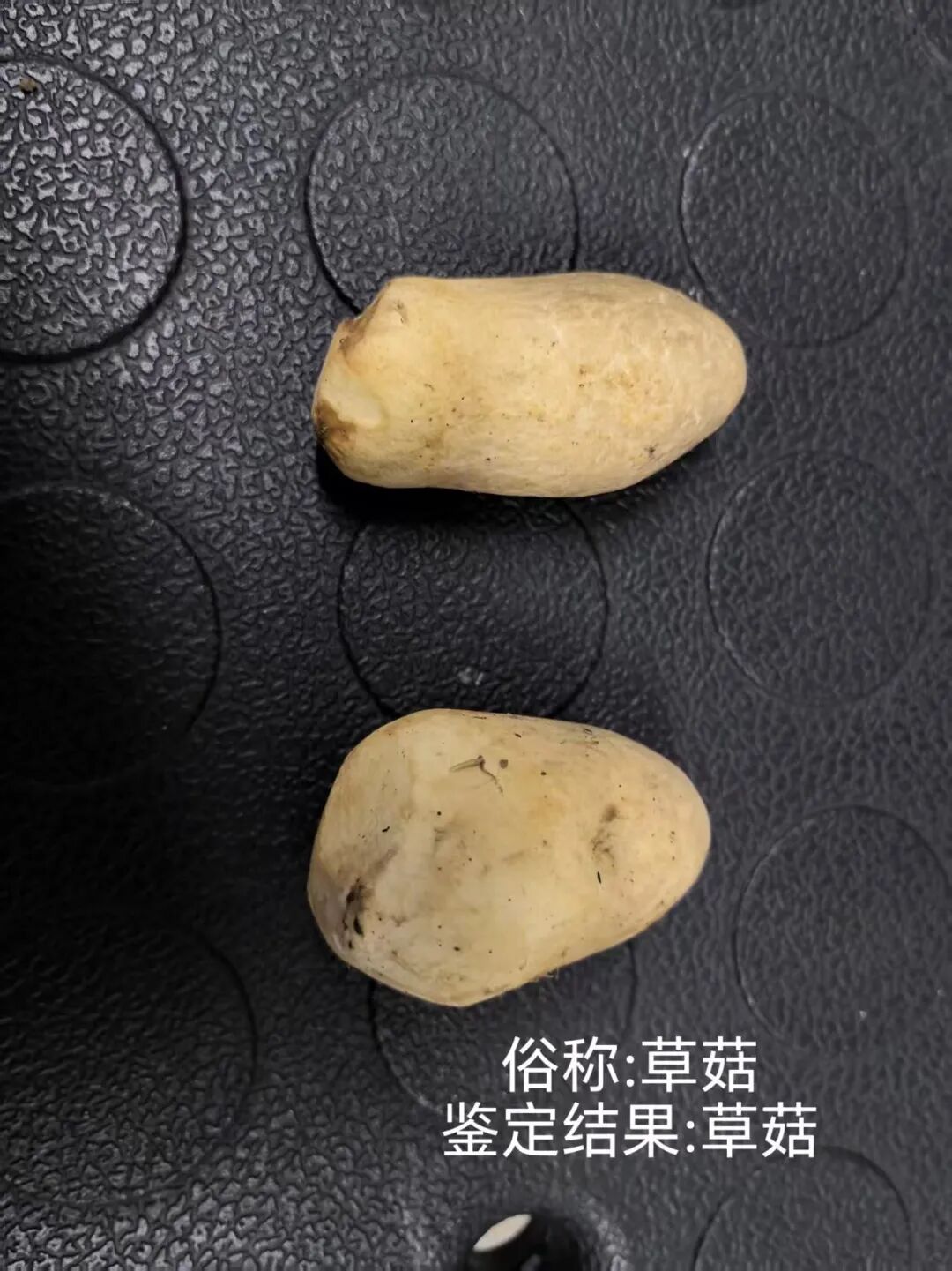 昆明广播电视台