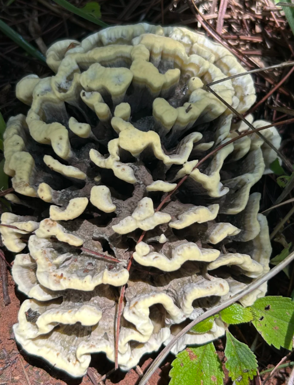 昆明广播电视台