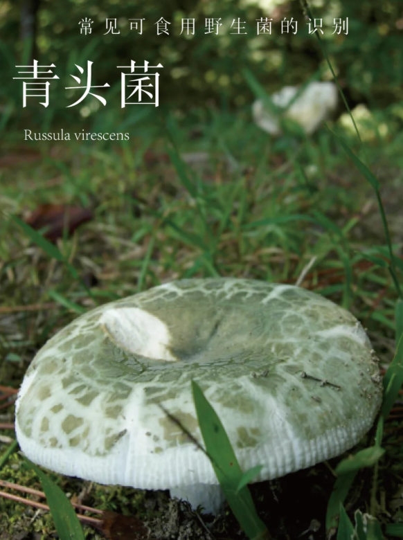 昆明广播电视台