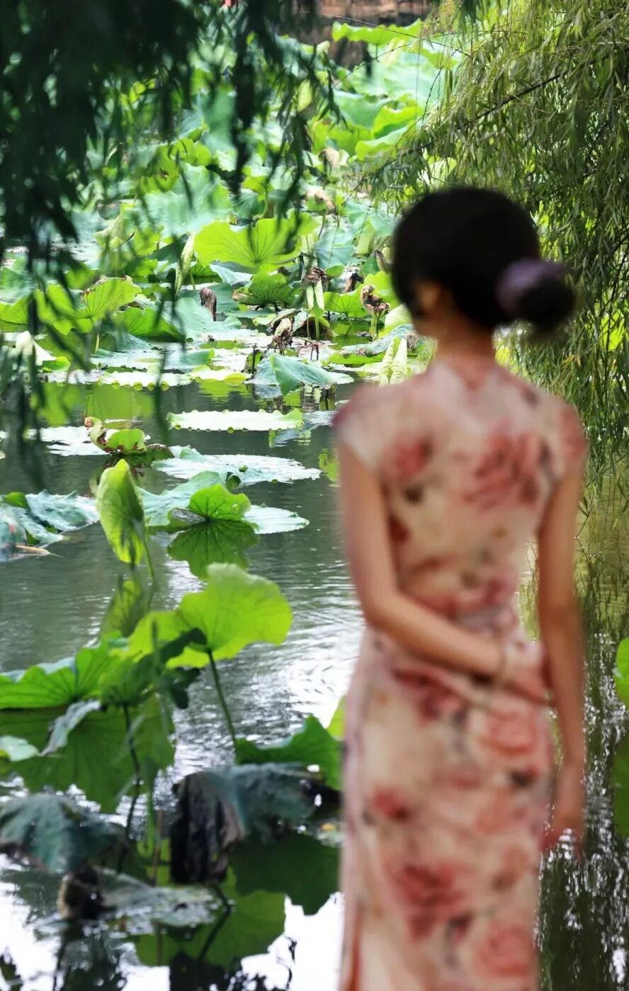 街头巷尾