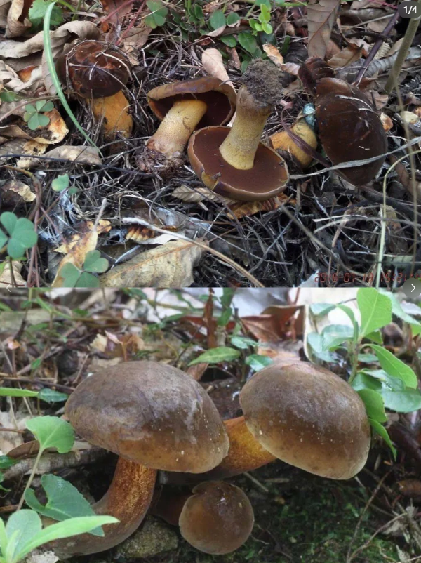 昆明广播电视台