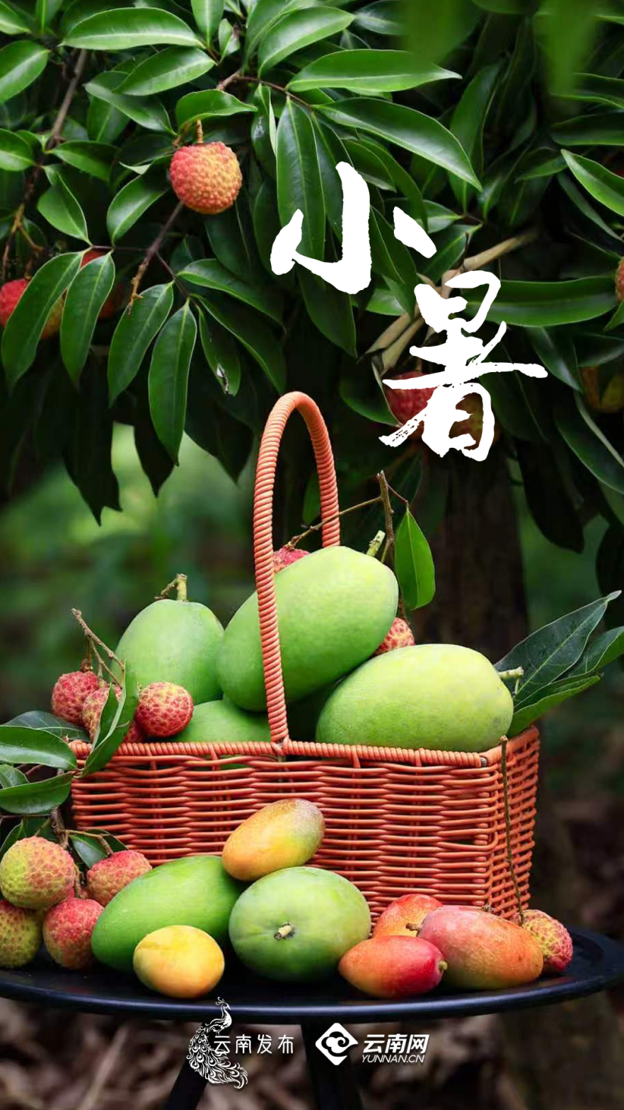 昆明广播电视台经济生活频道