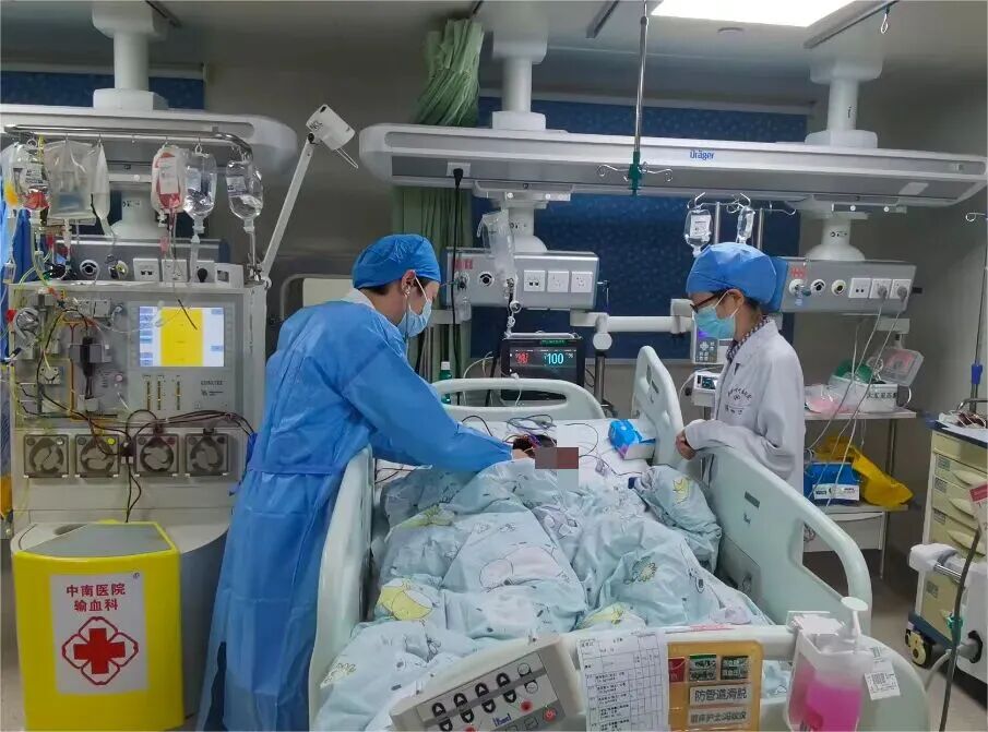 掌上春城微信