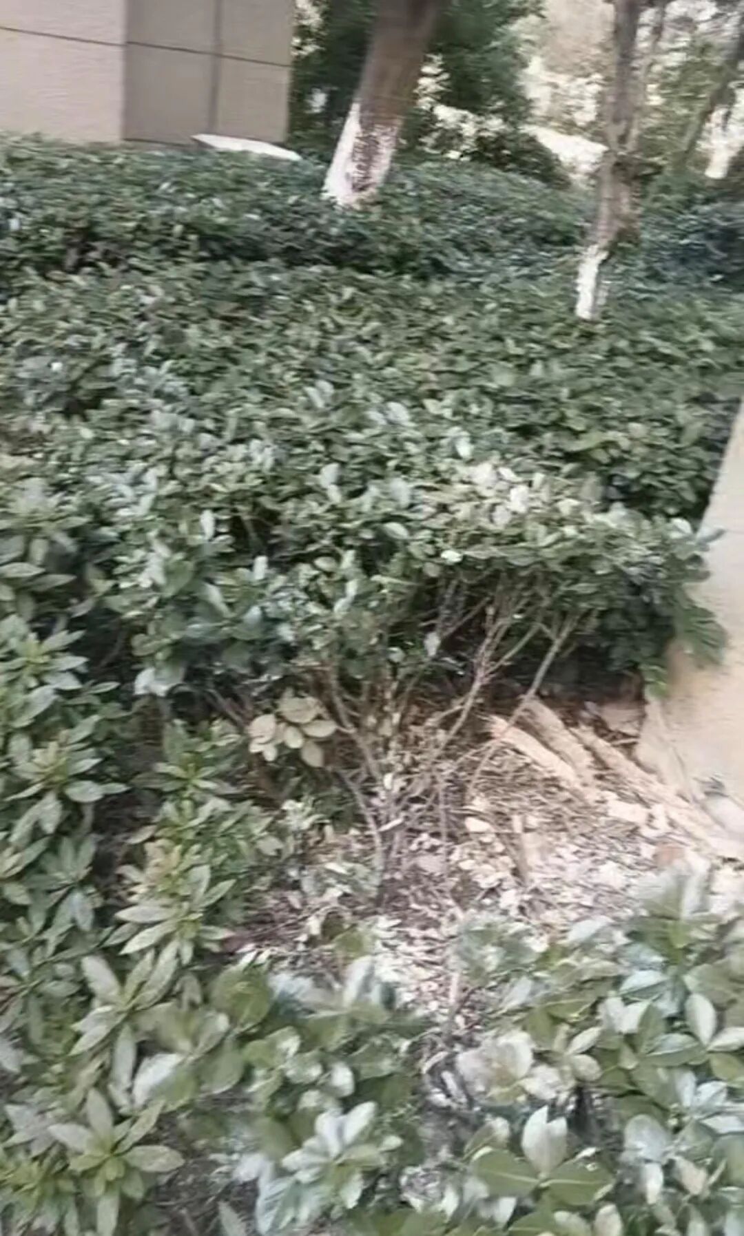 都市时报