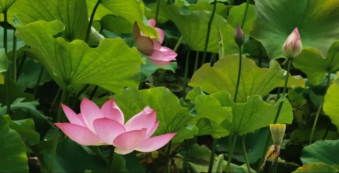 街头巷尾
