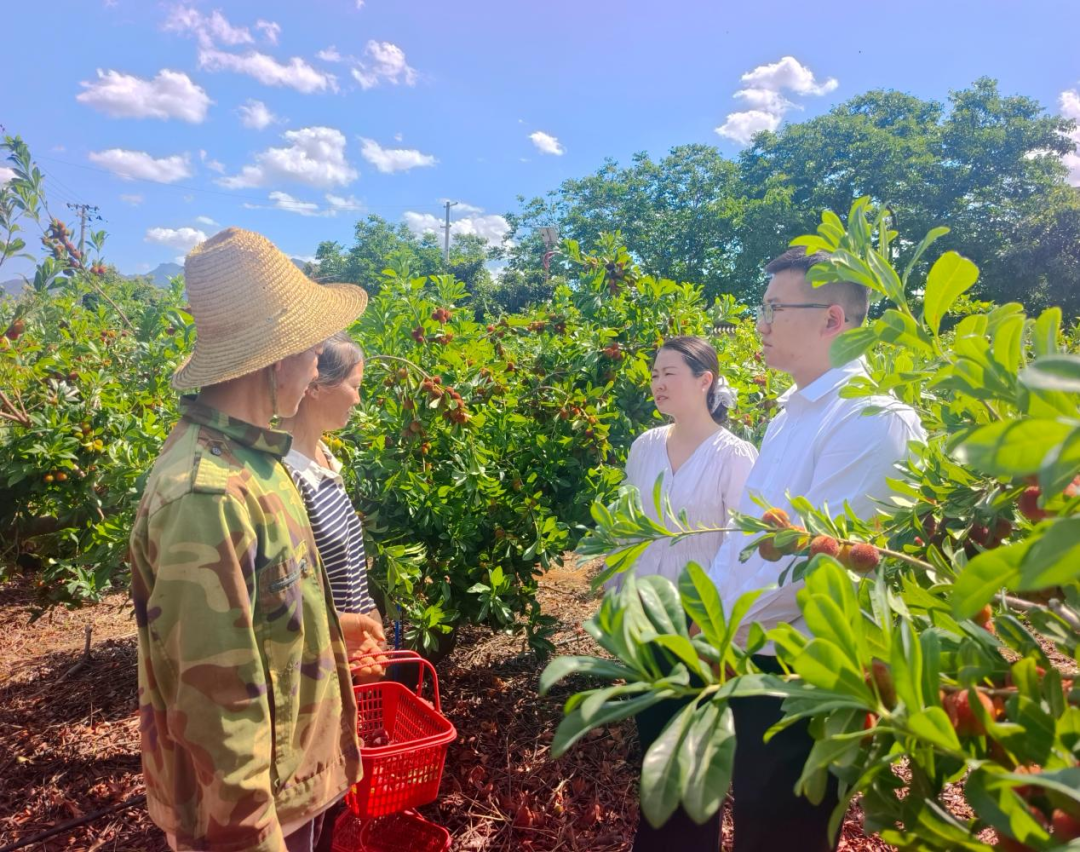 清风云南