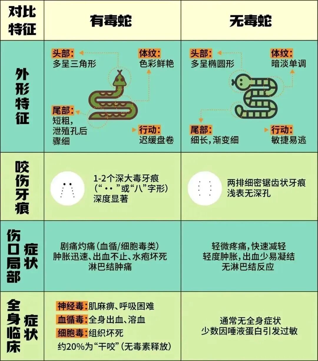 掌上春城微信
