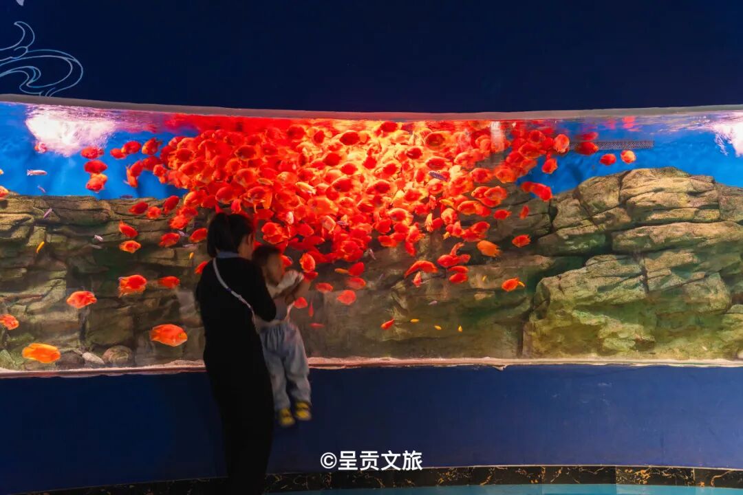 街头巷尾