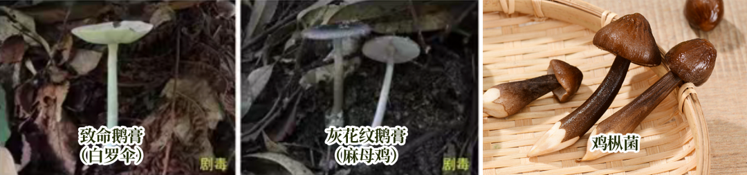 都市时报