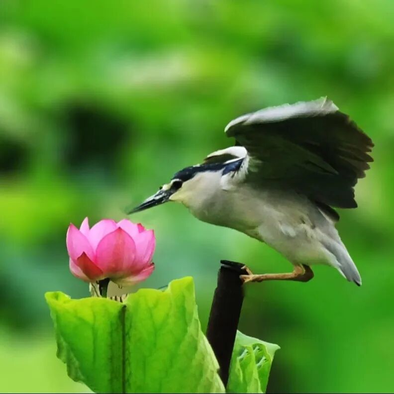 街头巷尾