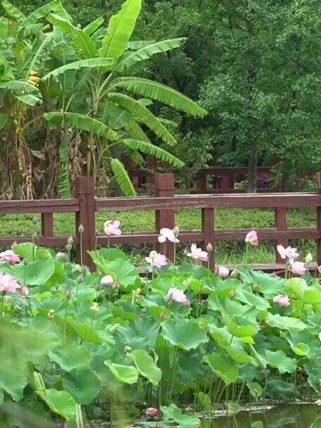 街头巷尾
