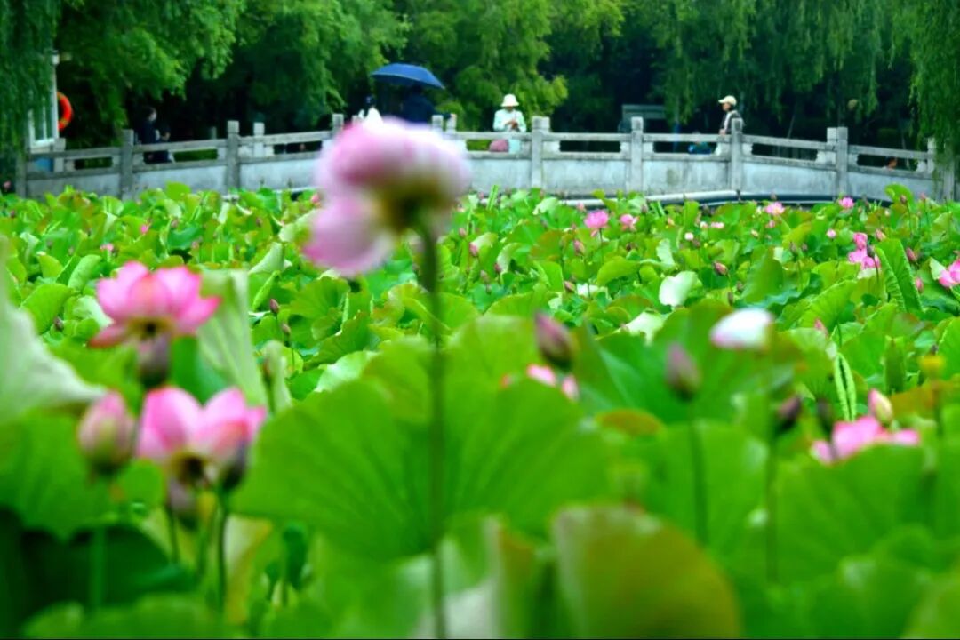 街头巷尾