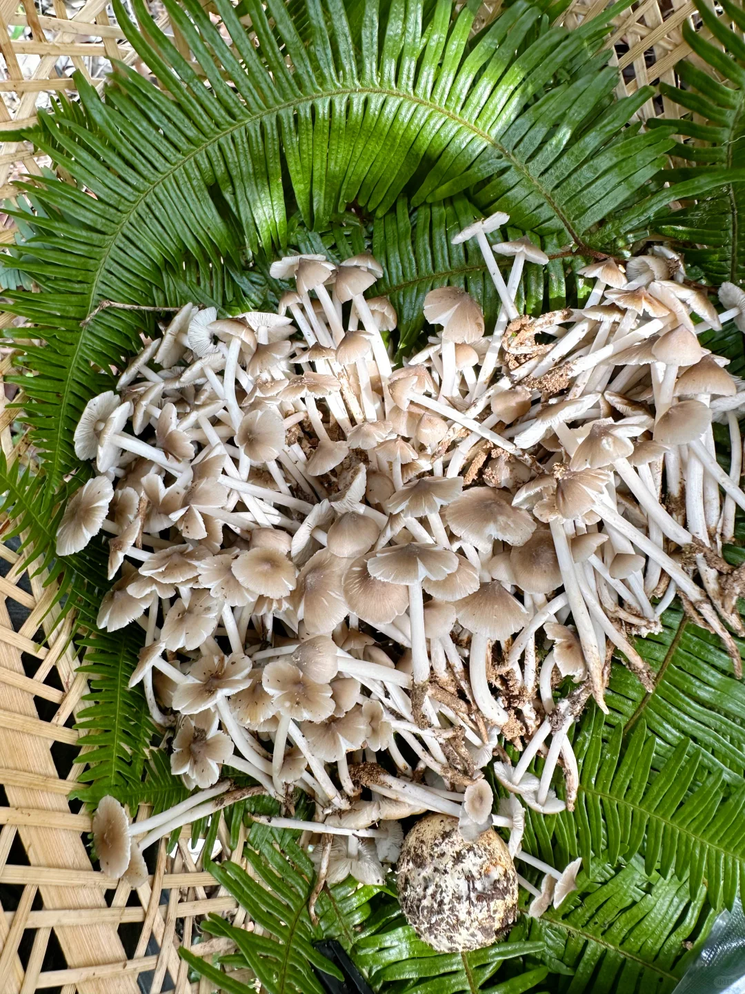 昆明广播电视台