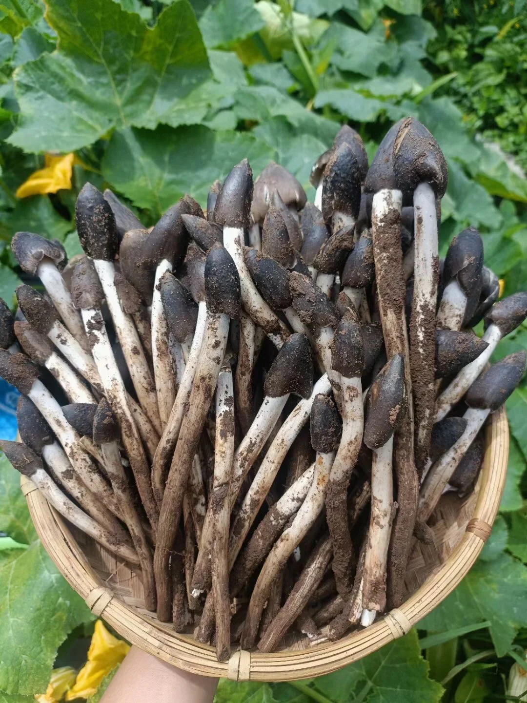 昆明广播电视台