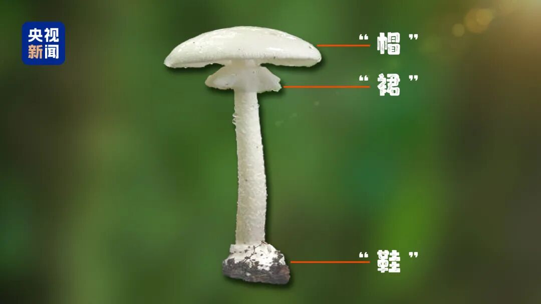 昆明广播电视台