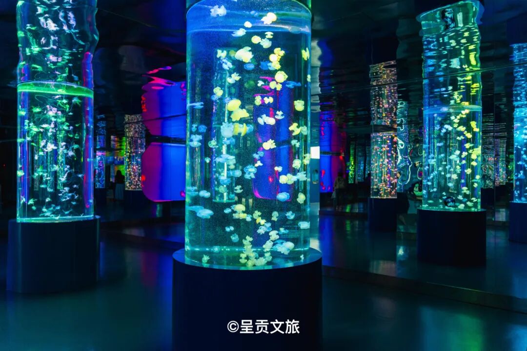 街头巷尾