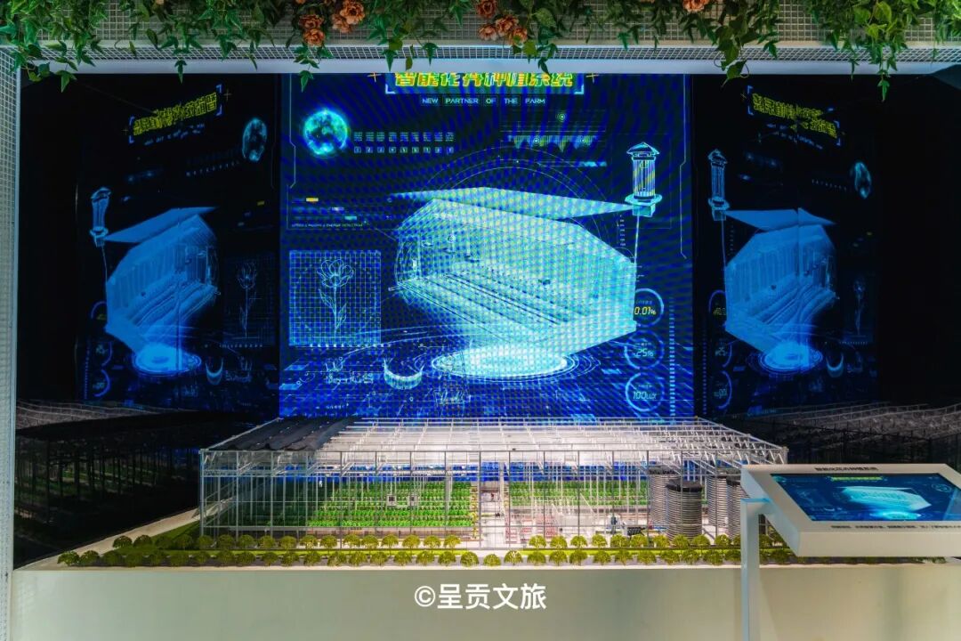 街头巷尾