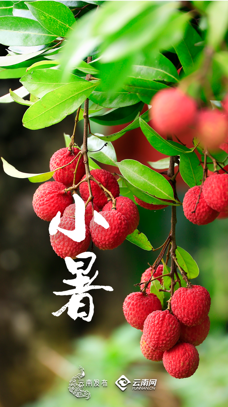 昆明广播电视台经济生活频道