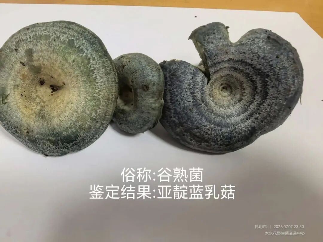 昆明广播电视台