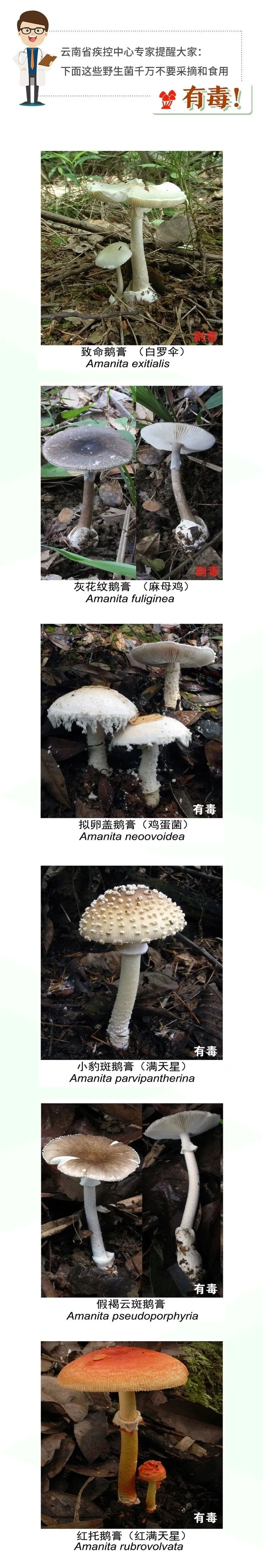 掌上春城微信