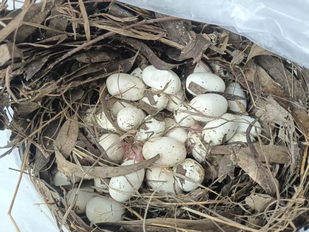 昆明广播电视台
