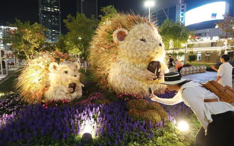 昆明广播电视台经济生活频道