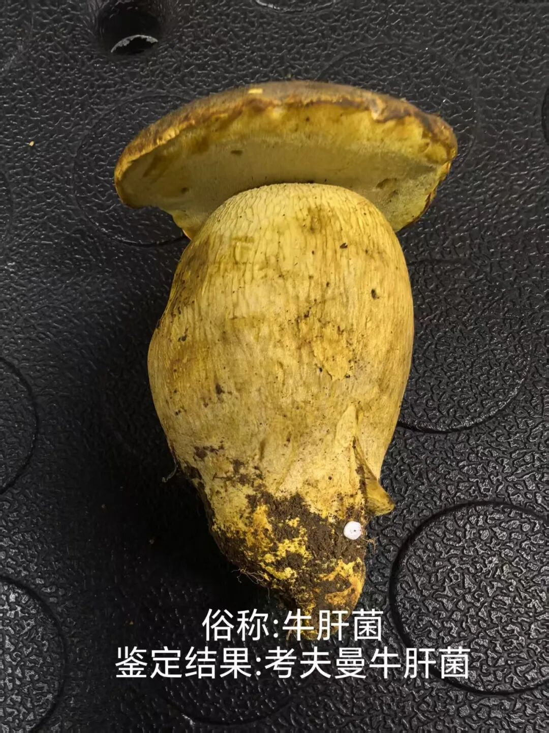 昆明广播电视台