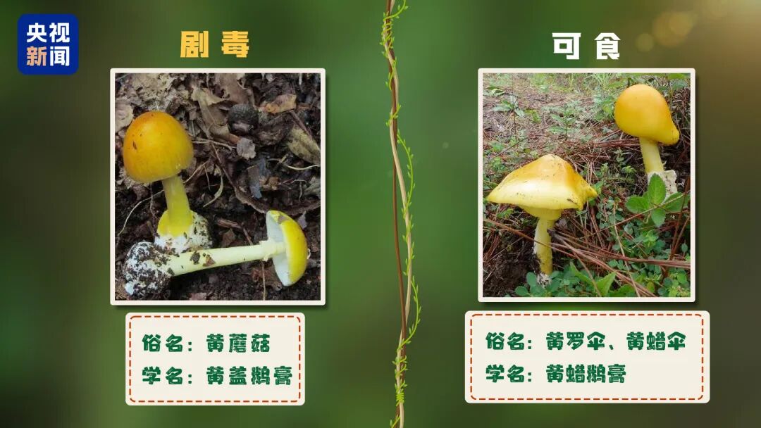 昆明广播电视台