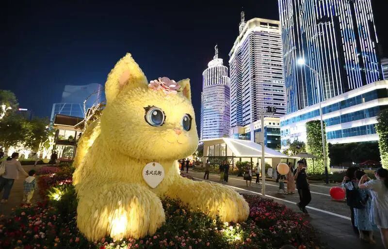 昆明广播电视台经济生活频道