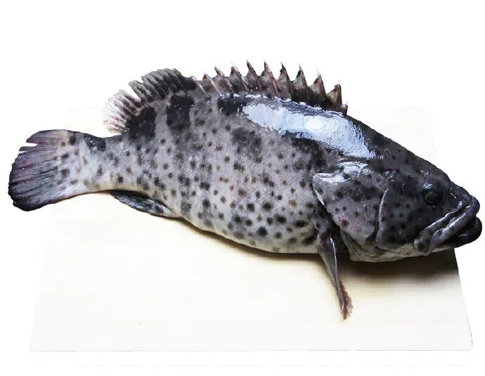 昆明广播电视台