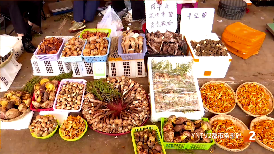 昆明广播电视台