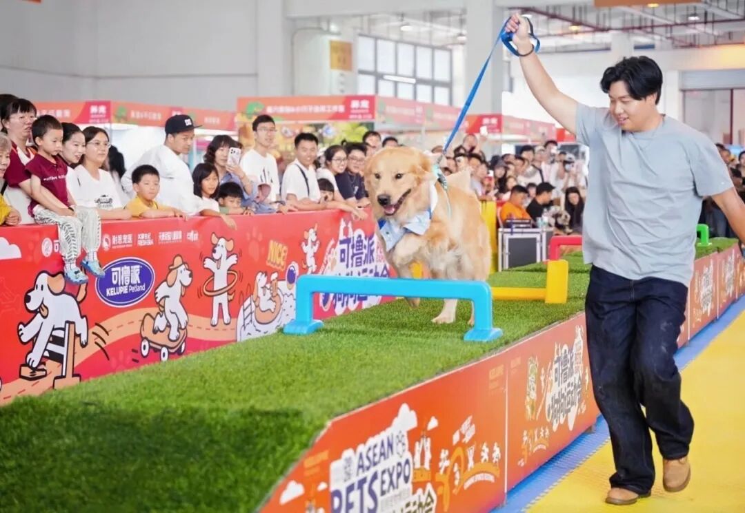 FM954昆明汽车音乐广播
