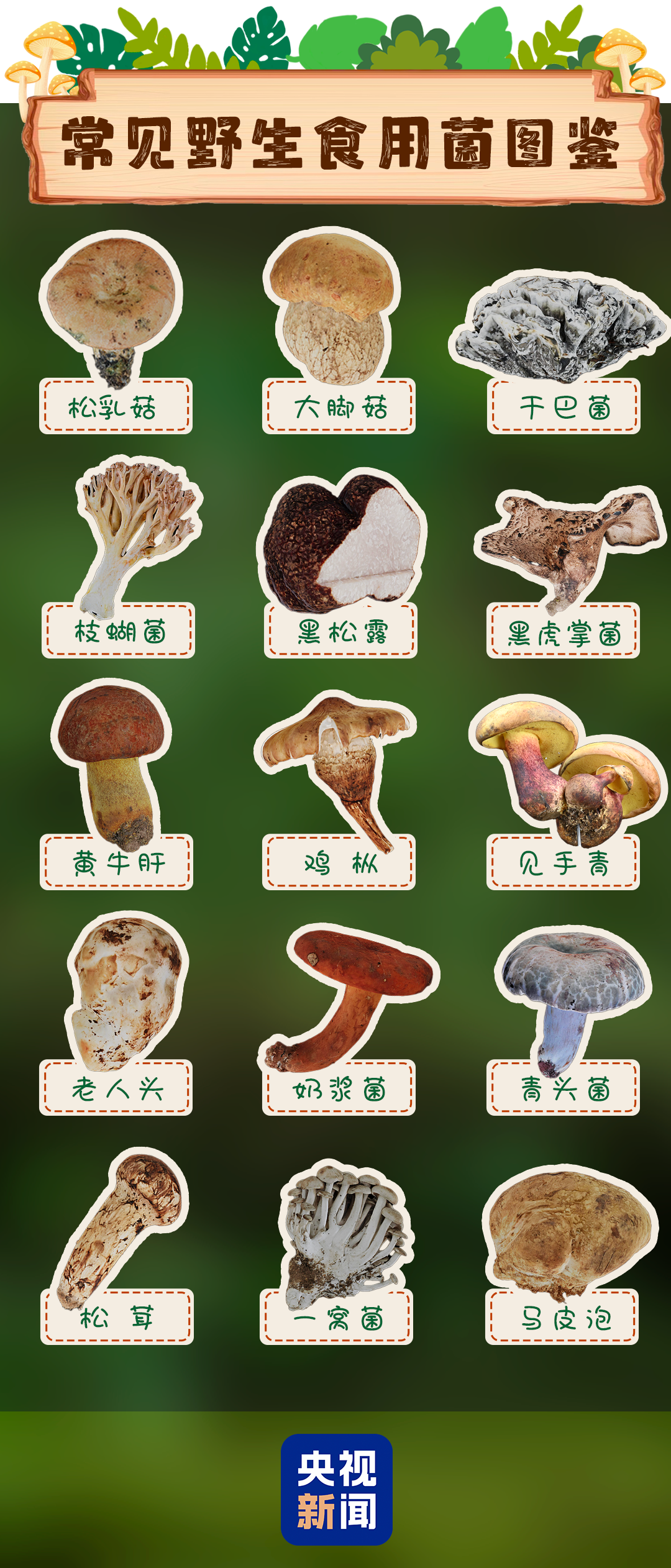 昆明广播电视台
