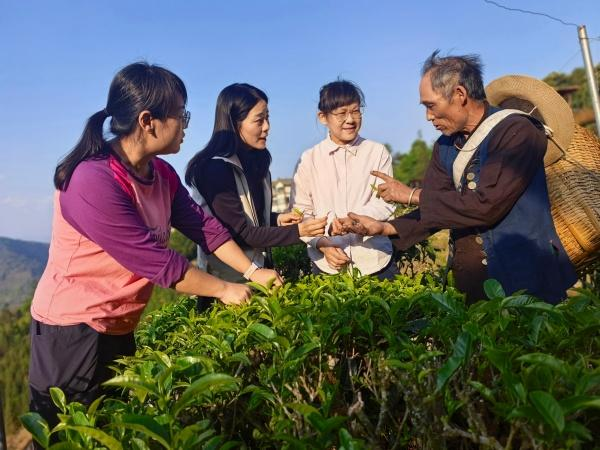 清风云南