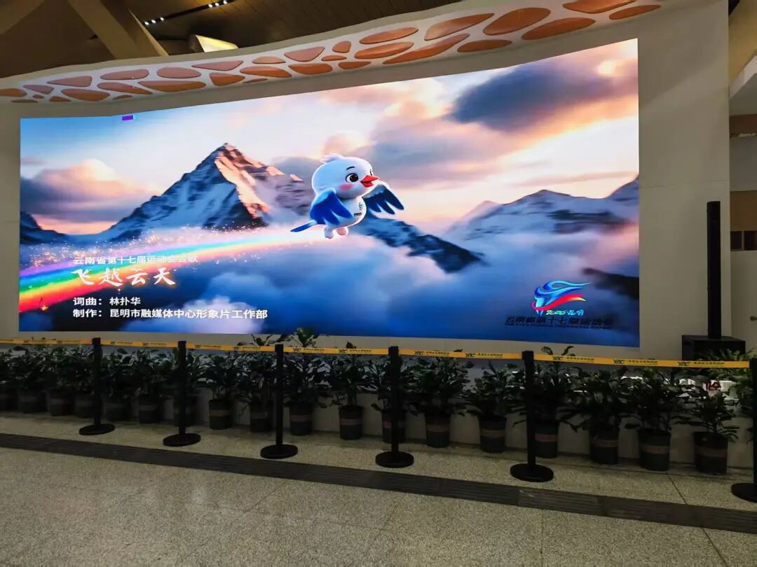 8099999街头巷尾微信