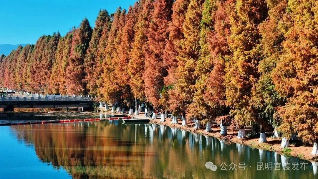 街头巷尾
