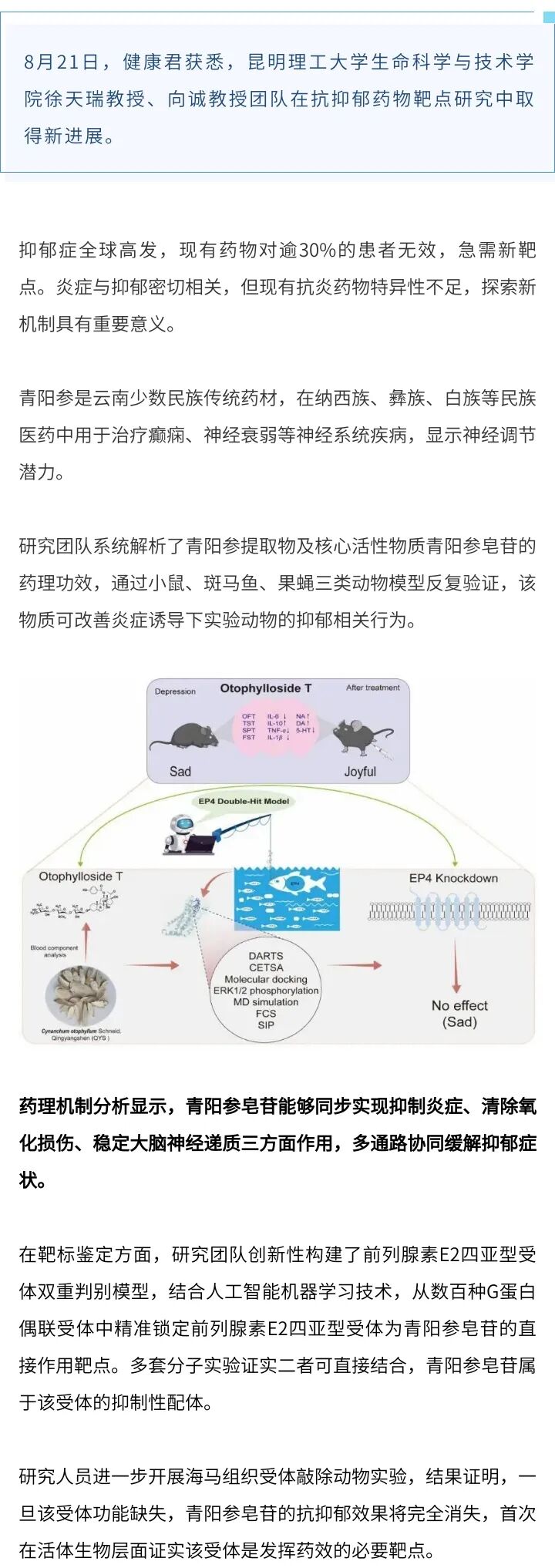 健康昆明