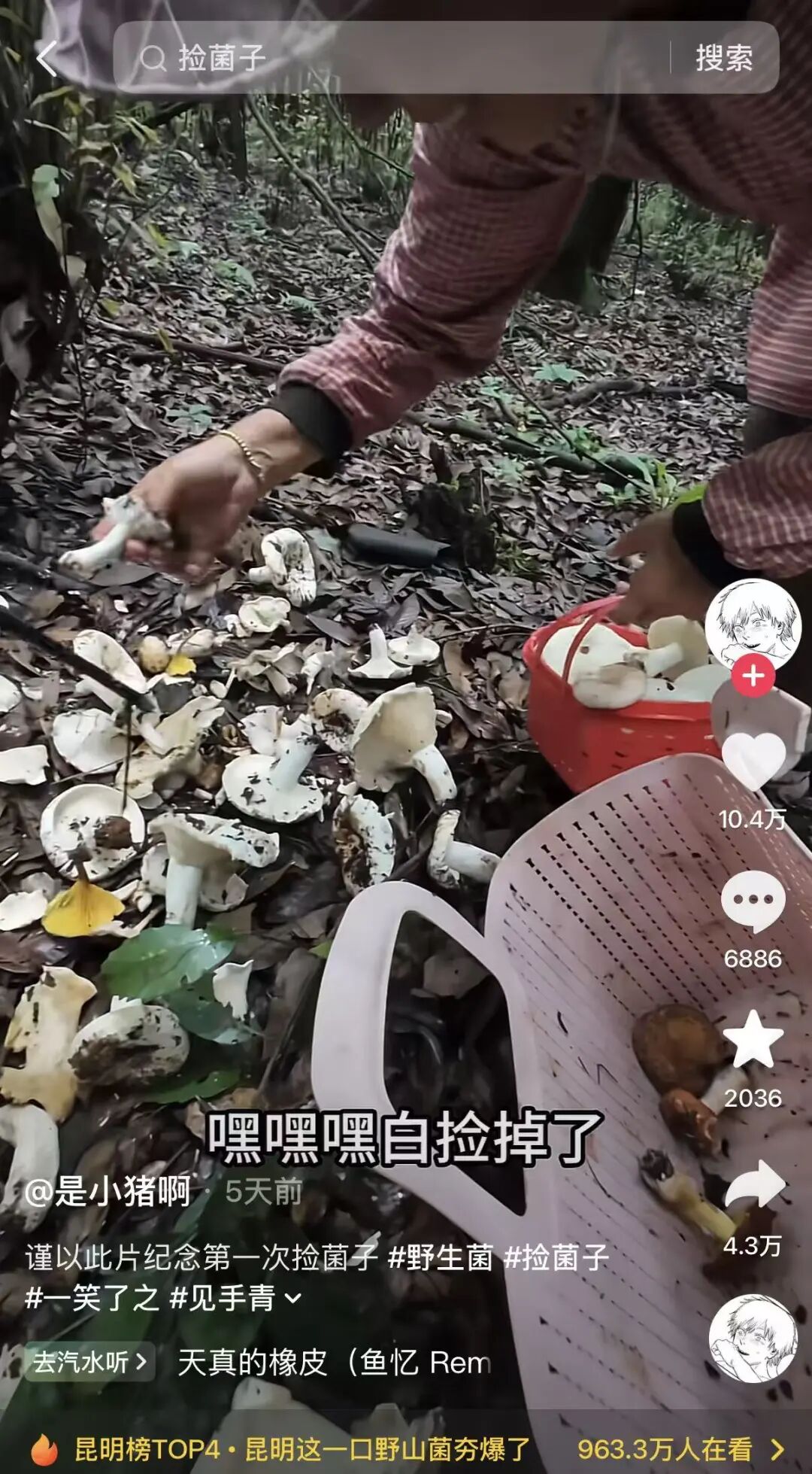 掌上春城微信